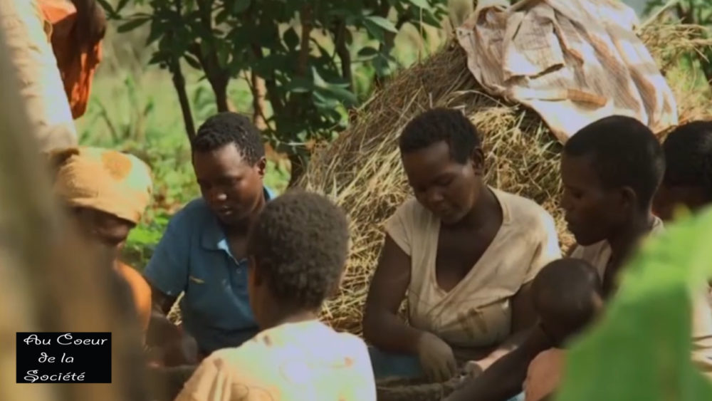 Au Cœur De La Société