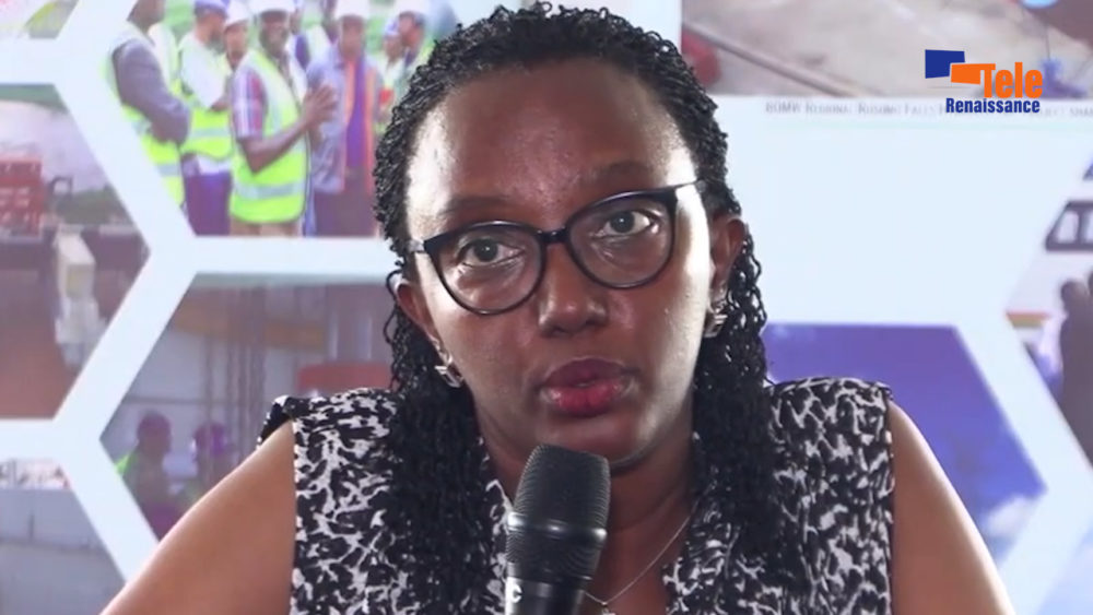 Initiative du Bassin du Nil